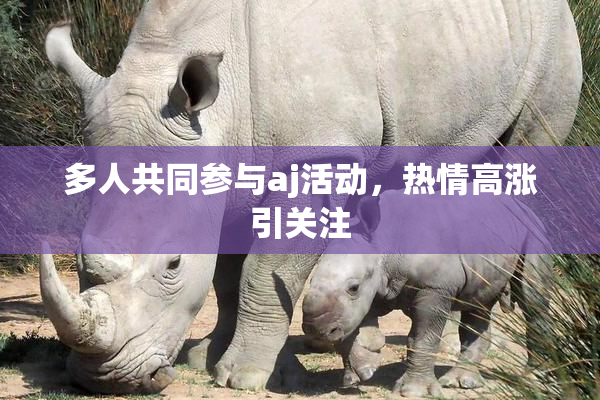 多人共同参与aj活动，热情高涨引关注