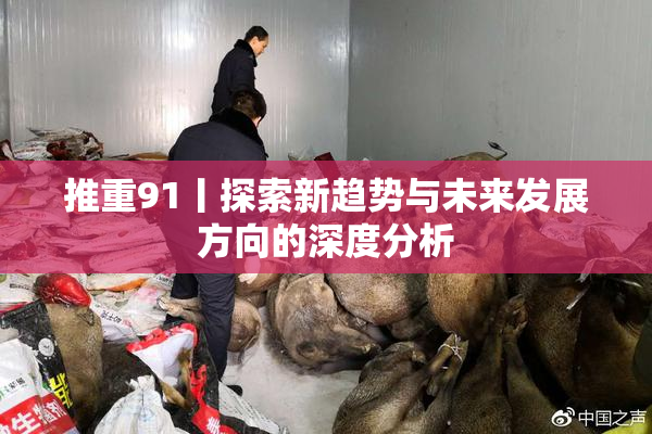 推重91丨探索新趋势与未来发展方向的深度分析