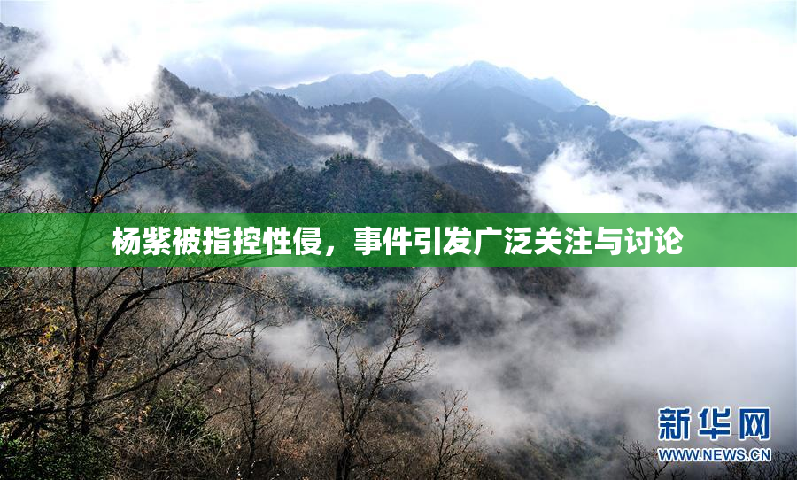杨紫被指控性侵，事件引发广泛关注与讨论