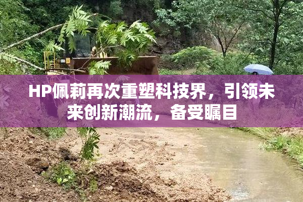 HP佩莉再次重塑科技界，引领未来创新潮流，备受瞩目