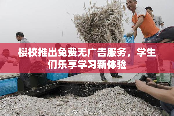 樱校推出免费无广告服务，学生们乐享学习新体验