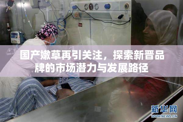 国产嫩草再引关注，探索新晋品牌的市场潜力与发展路径