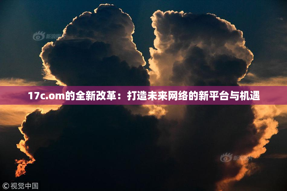 17c.om的全新改革：打造未来网络的新平台与机遇