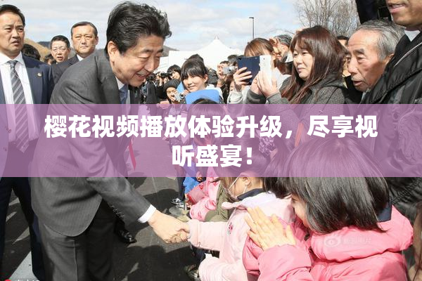 樱花视频播放体验升级，尽享视听盛宴！