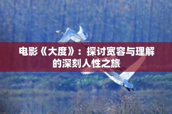 电影《大度》：探讨宽容与理解的深刻人性之旅