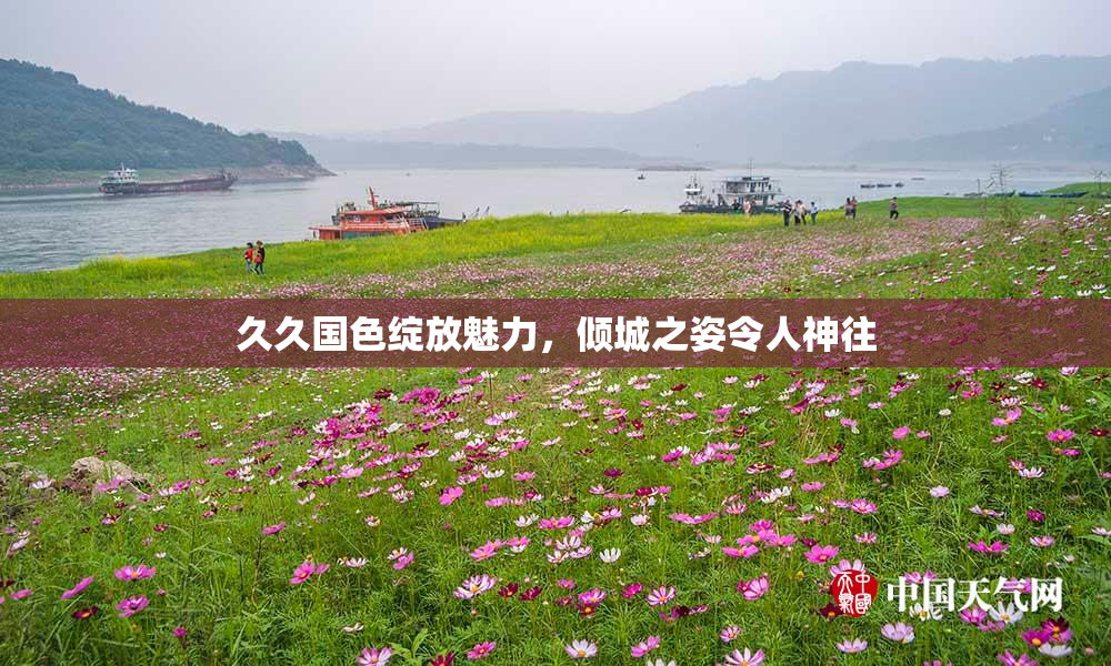 久久国色绽放魅力，倾城之姿令人神往