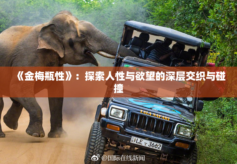 《金梅瓶性》：探索人性与欲望的深层交织与碰撞