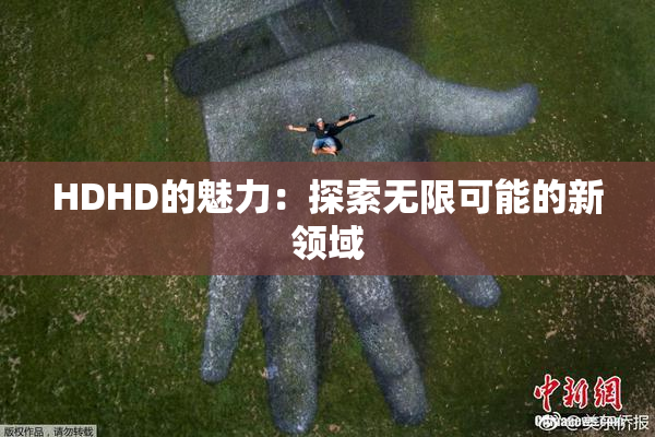 HDHD的魅力：探索无限可能的新领域