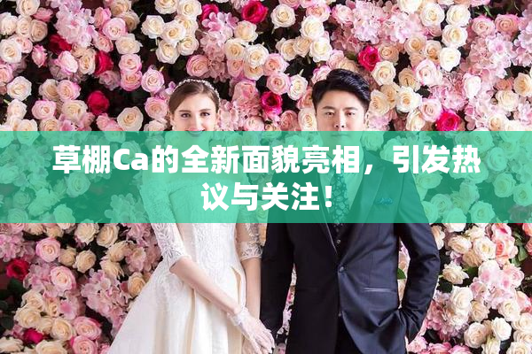 草棚Ca的全新面貌亮相，引发热议与关注！