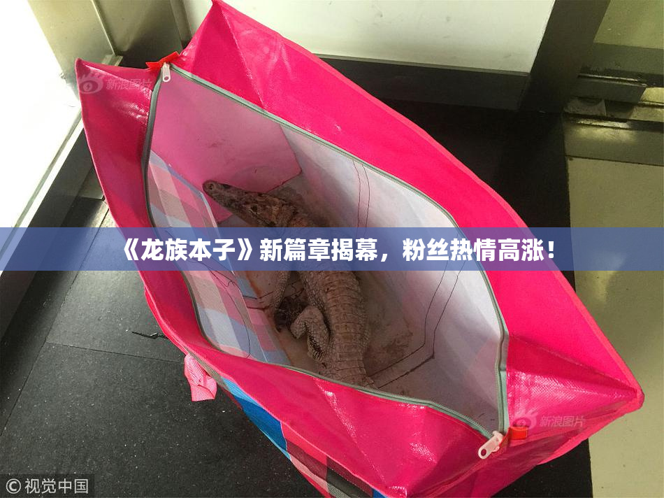 《龙族本子》新篇章揭幕，粉丝热情高涨！