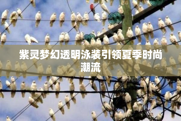 紫灵梦幻透明泳装引领夏季时尚潮流