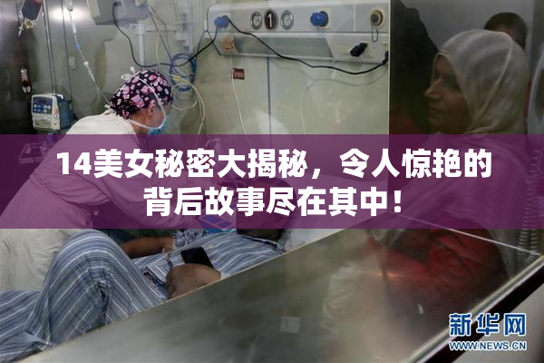 14美女秘密大揭秘，令人惊艳的背后故事尽在其中！