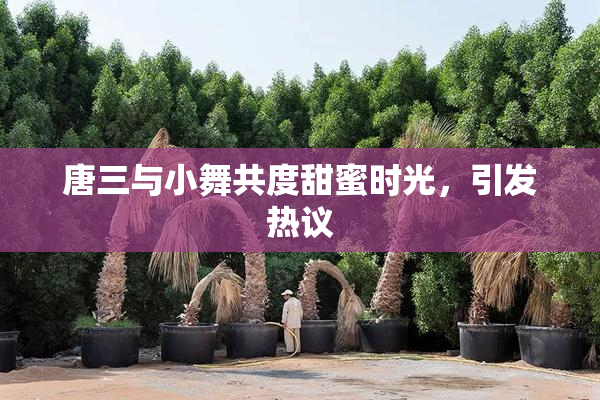 唐三与小舞共度甜蜜时光，引发热议