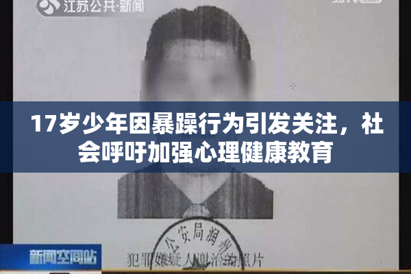 17岁少年因暴躁行为引发关注，社会呼吁加强心理健康教育