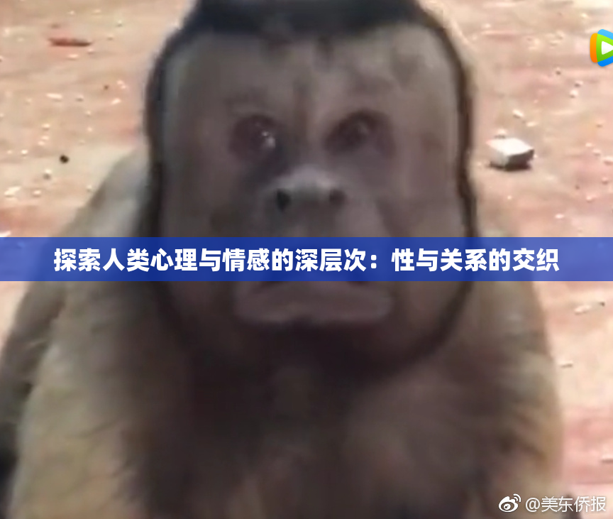 探索人类心理与情感的深层次：性与关系的交织