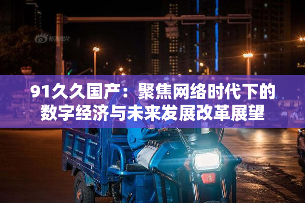 91久久国产：聚焦网络时代下的数字经济与未来发展改革展望