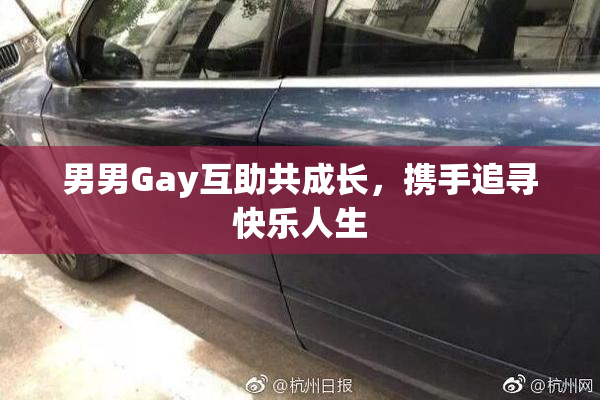 男男Gay互助共成长，携手追寻快乐人生