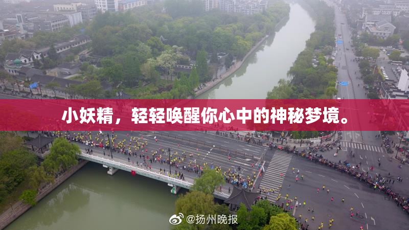 小妖精，轻轻唤醒你心中的神秘梦境。