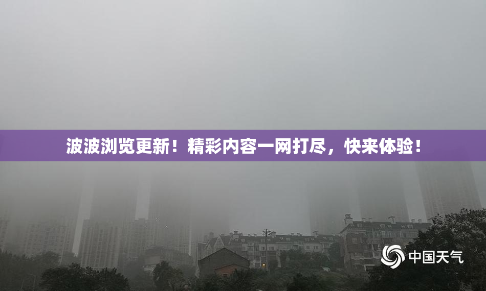 波波浏览更新！精彩内容一网打尽，快来体验！