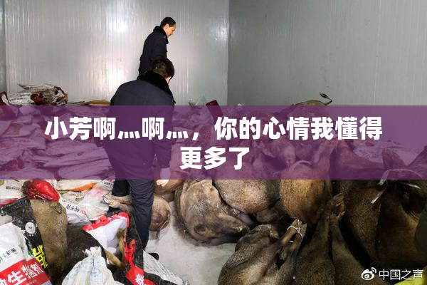 小芳啊灬啊灬，你的心情我懂得更多了