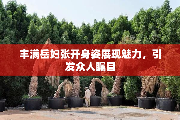 丰满岳妇张开身姿展现魅力，引发众人瞩目