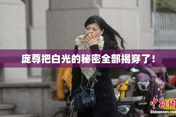 庞尊把白光的秘密全部揭穿了！