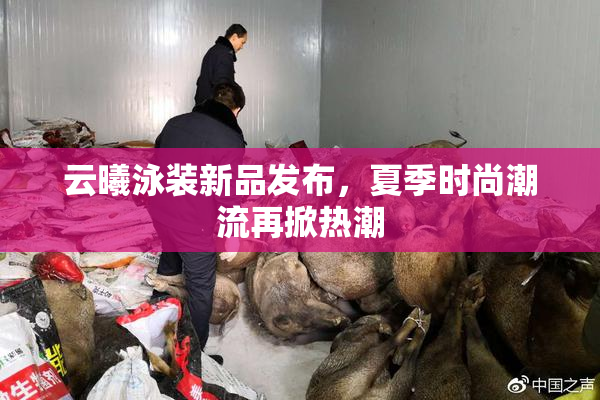 云曦泳装新品发布，夏季时尚潮流再掀热潮