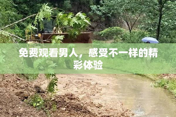 免费观看男人，感受不一样的精彩体验