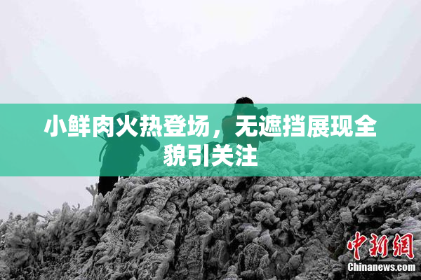 小鲜肉火热登场，无遮挡展现全貌引关注