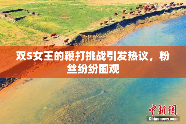 双S女王的鞭打挑战引发热议，粉丝纷纷围观