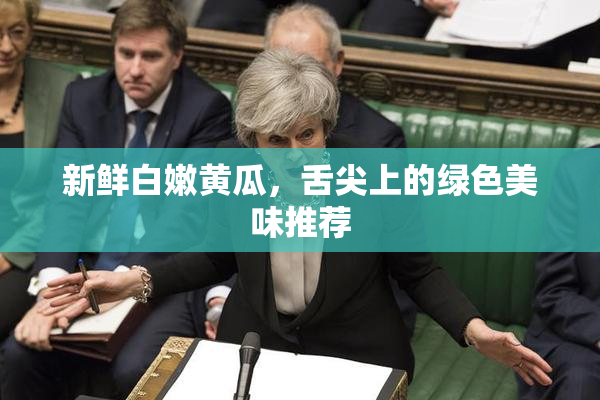 新鲜白嫩黄瓜，舌尖上的绿色美味推荐