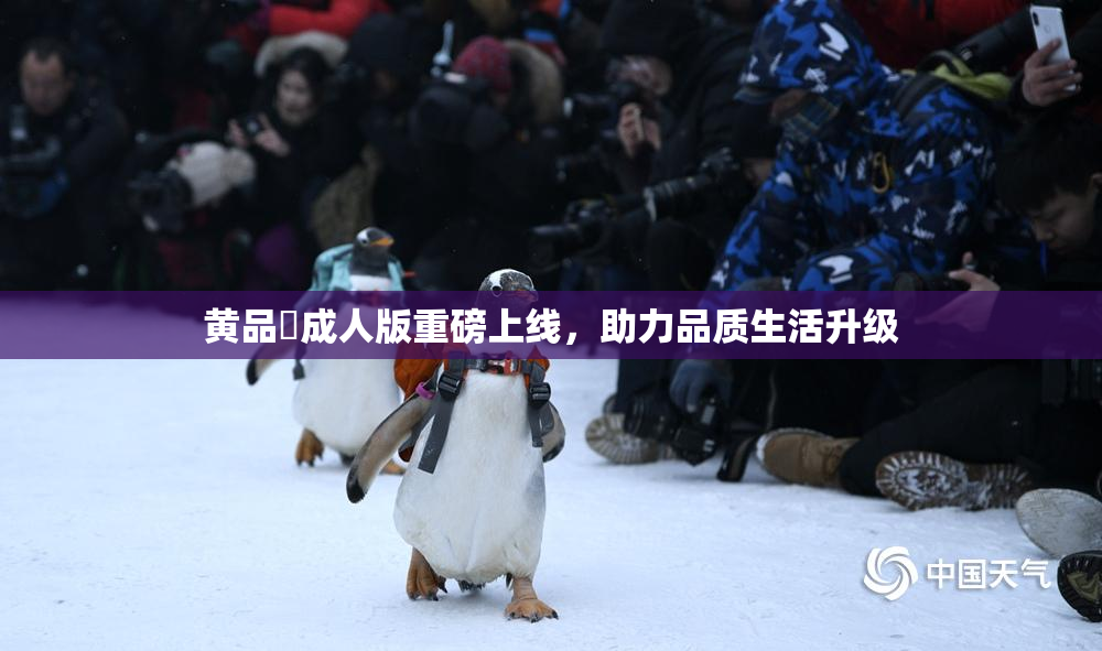 黄品匯成人版重磅上线，助力品质生活升级