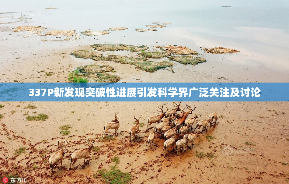 337P新发现突破性进展引发科学界广泛关注及讨论