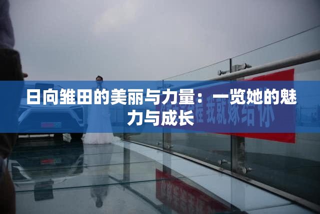 日向雏田的美丽与力量：一览她的魅力与成长