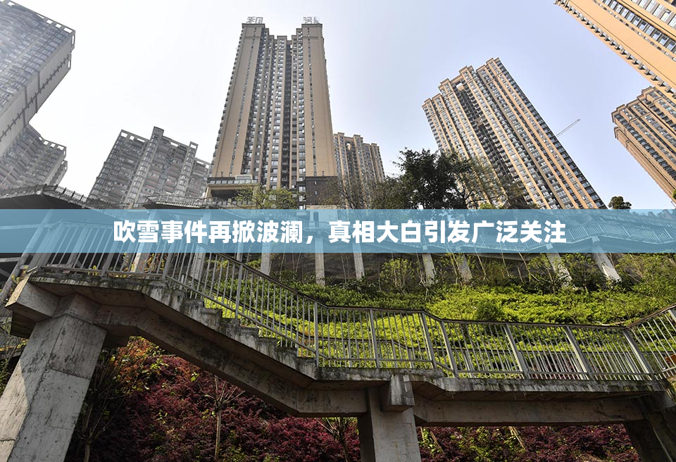 吹雪事件再掀波澜，真相大白引发广泛关注