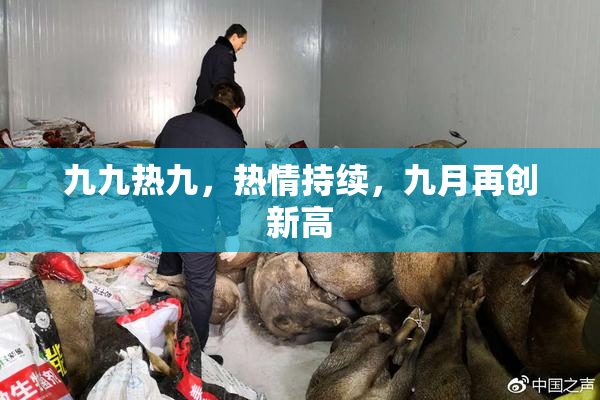 九九热九，热情持续，九月再创新高