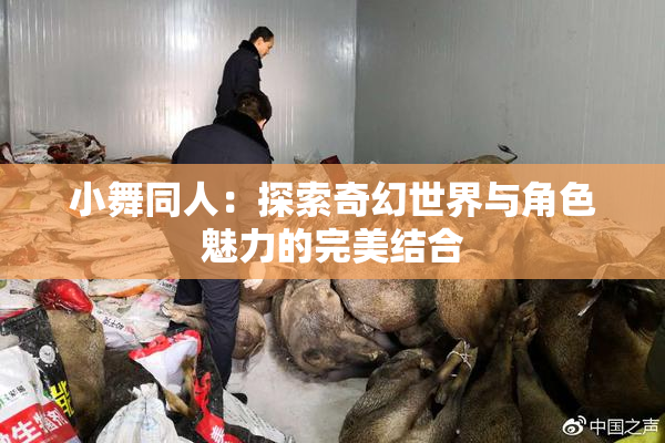 小舞同人：探索奇幻世界与角色魅力的完美结合