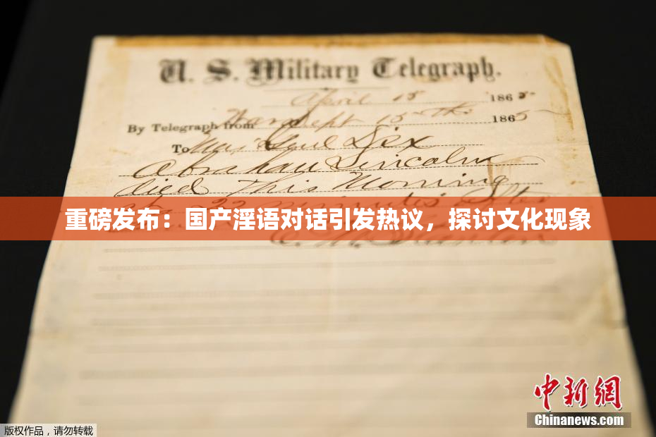 重磅发布：国产淫语对话引发热议，探讨文化现象