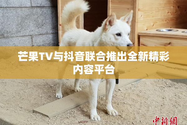芒果TV与抖音联合推出全新精彩内容平台