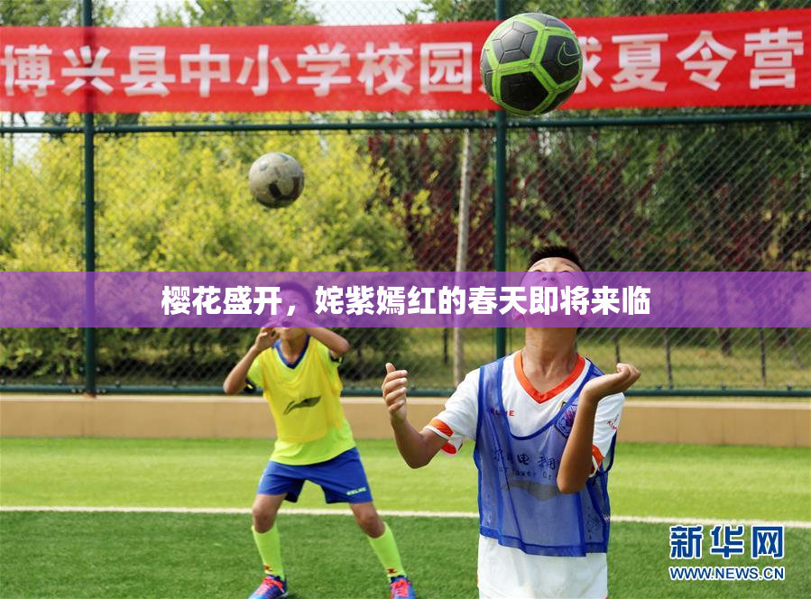 樱花盛开，姹紫嫣红的春天即将来临