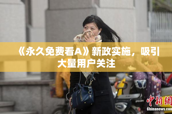 《永久免费看A》新政实施，吸引大量用户关注