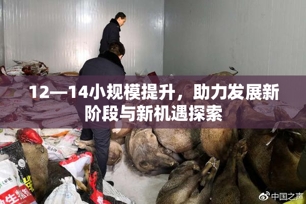 12—14小规模提升，助力发展新阶段与新机遇探索
