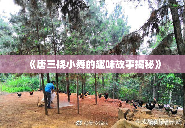 《唐三挠小舞的趣味故事揭秘》