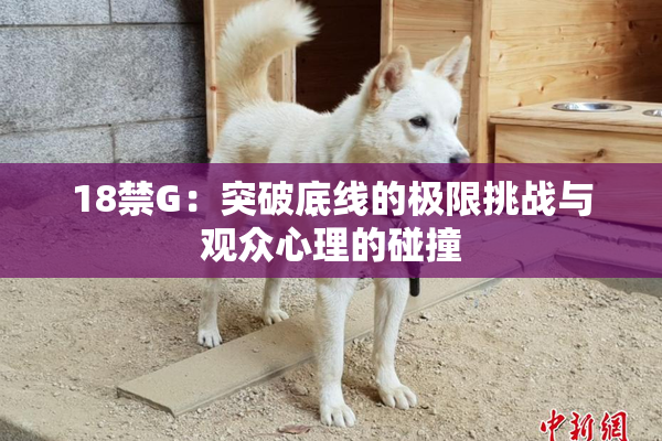 18禁G：突破底线的极限挑战与观众心理的碰撞
