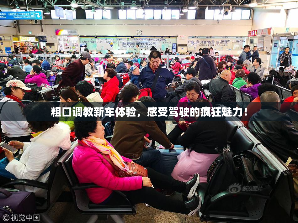 粗口调教新车体验，感受驾驶的疯狂魅力！