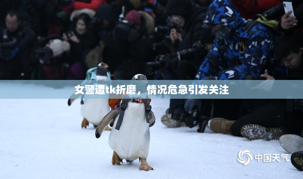 女警遭tk折磨，情况危急引发关注