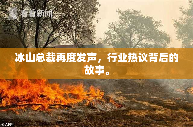 冰山总裁再度发声，行业热议背后的故事。