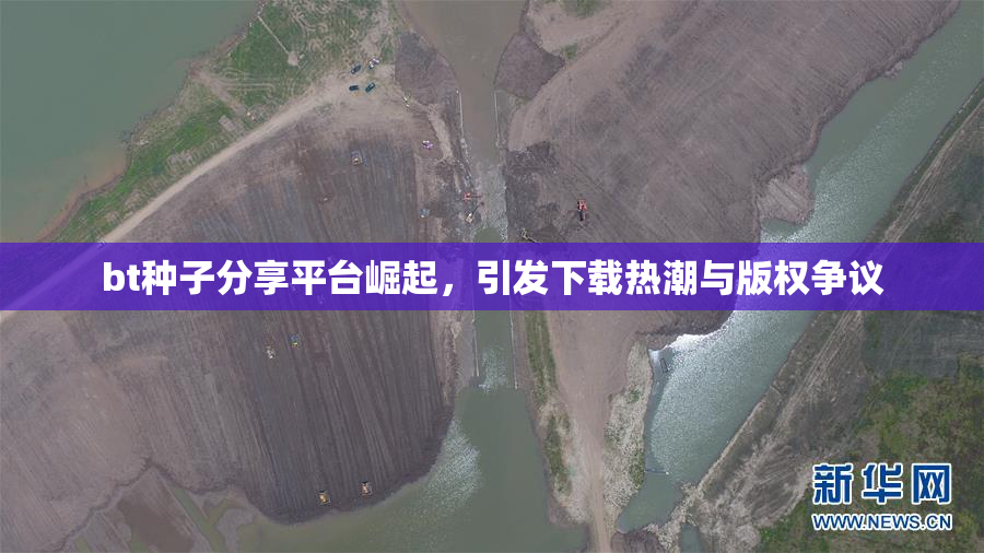 bt种子分享平台崛起，引发下载热潮与版权争议