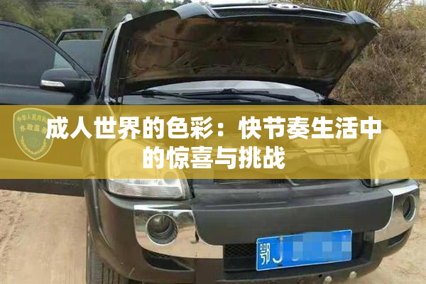 成人世界的色彩：快节奏生活中的惊喜与挑战