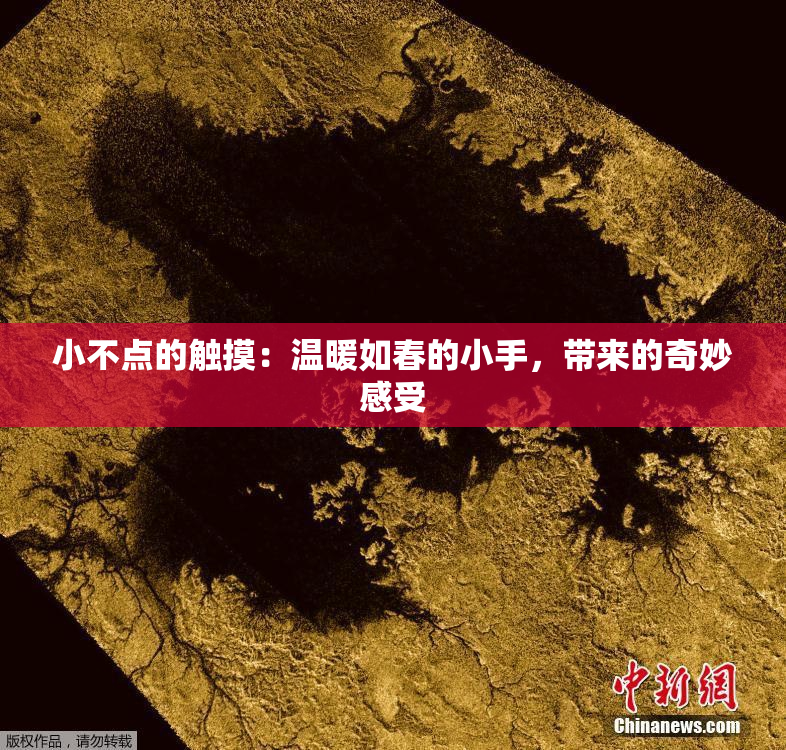 小不点的触摸：温暖如春的小手，带来的奇妙感受